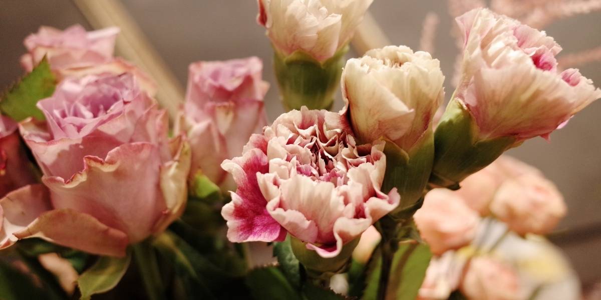 Toko Bunga Bekasi untuk Pesan Karangan Bunga Papan 24 Jam
